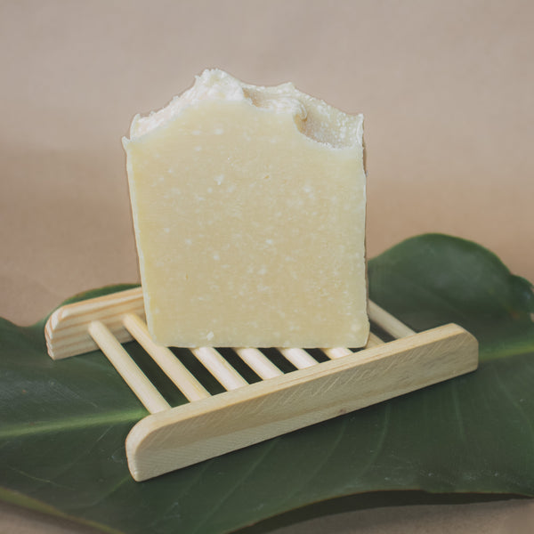 Bare SOAP DISH